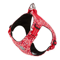 Thumbnail for Floral Doggy Harness Red XS