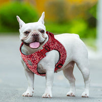 Thumbnail for Floral Doggy Harness Red XS