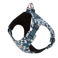 Thumbnail for Floral Doggy Harness Saxony Blue XS