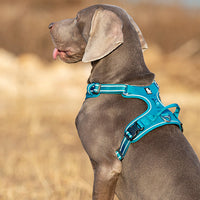 Thumbnail for No Pull Harness Blue M