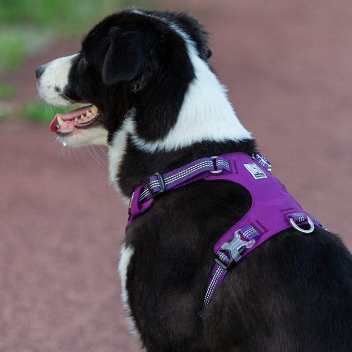 Lightweight 3M reflective Harness Purple XS