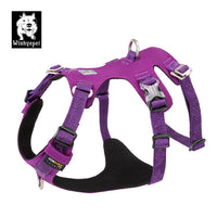 Thumbnail for Whinhyepet Harness Purple XS