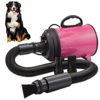 Thumbnail for 2800W Dog Dryer High Velocity Pet Dog Pet Blow Dryer Adjustable Speed 4 Nozzles