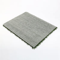 Thumbnail for Pet Dog Potty Tray Training Toilet + 1 Grass Mat 63cm x 50cm