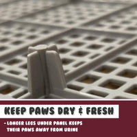 Thumbnail for Dog Pet Potty Tray Training Toilet Raised Walls T1 WINE