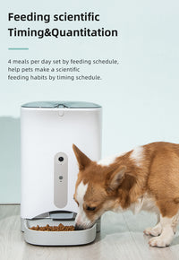 Thumbnail for Smart Automatic Pet Dog Cat Rabbit Feeder Smartphone Camera APP for iPhone Android