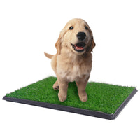 Thumbnail for YES4PETS XL Indoor Dog Puppy Toilet Grass Training Mat Loo Pad Potty W 2 Grass