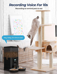 Thumbnail for YES4PETS 6L Automatic Digital Pet Dog Cat Feeder Double Food Bowl Dispenser