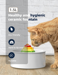 Thumbnail for YES4PETS Ceramic Electric Pet Water Fountain Dog Cat Water Feeder Bowl Dispenser