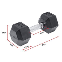 Thumbnail for 10KG Commercial Rubber Hex Dumbbell Gym Weight